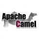 Apache Camel Training in US Empire