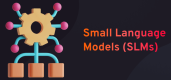Small Language Models (SLMs) Training in US Empire